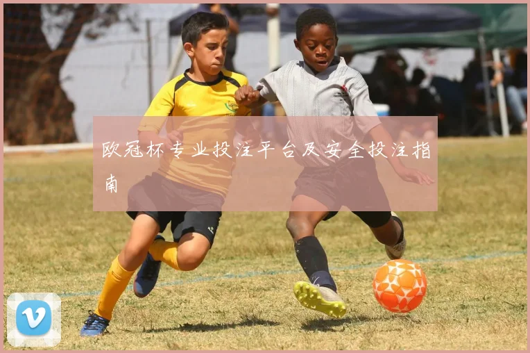 欧冠杯专业投注平台及安全投注指南