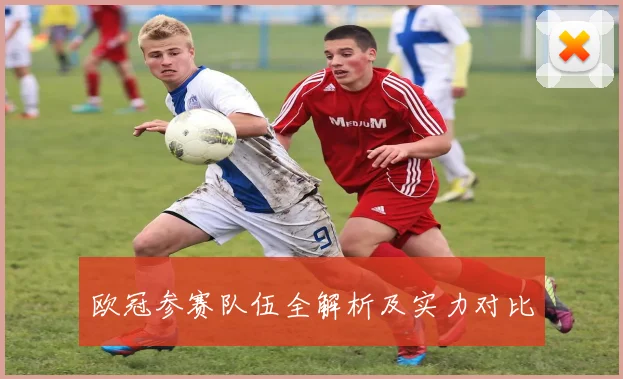 欧冠参赛队伍全解析及实力对比